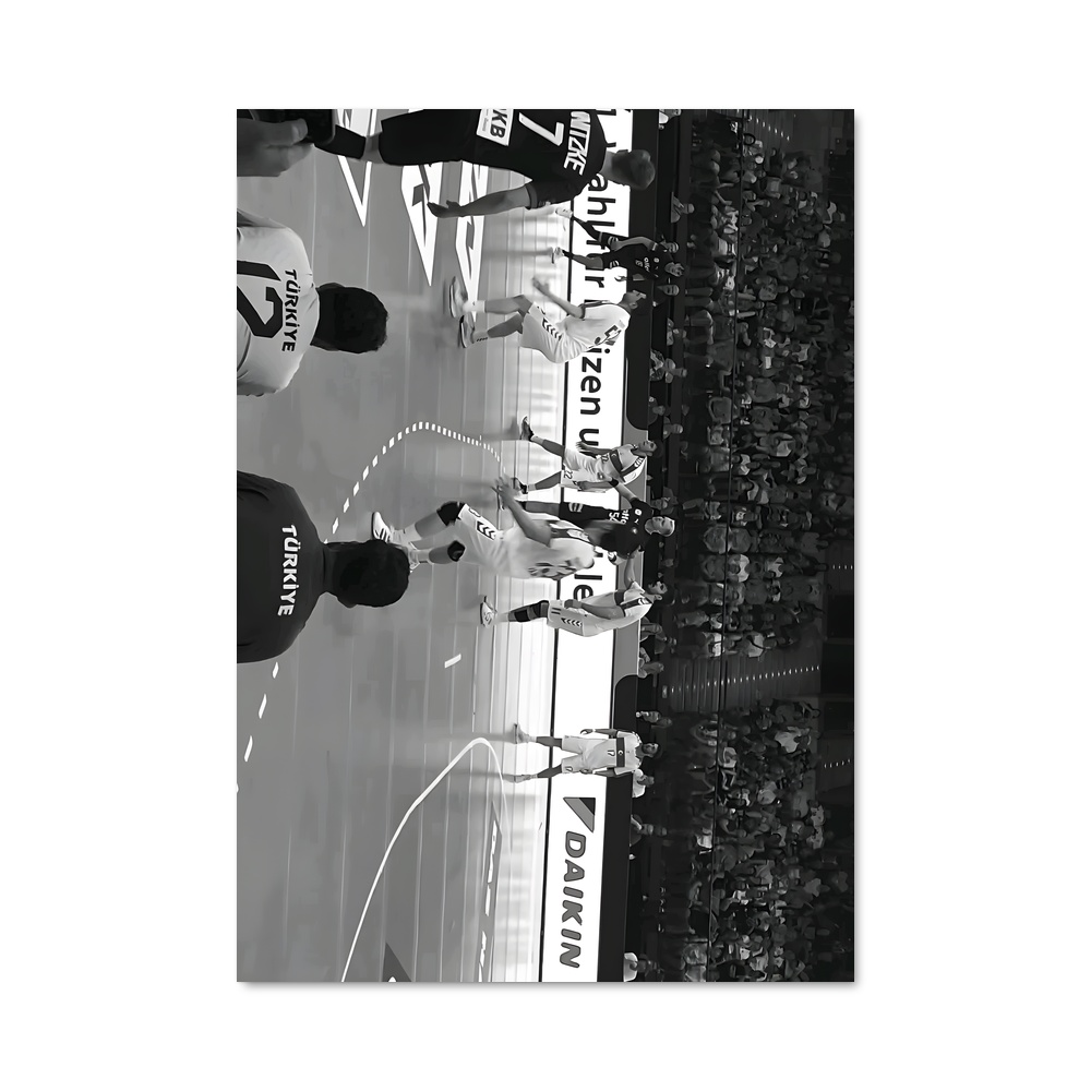 Poster Germany National – affiche Handball